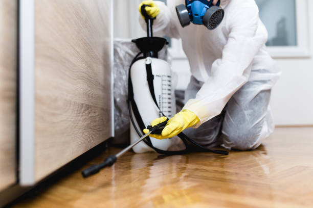 Best Residential Pest Control  in Minco, OK