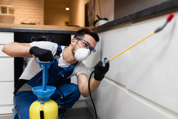 Best Pest Control for Homes  in Minco, OK