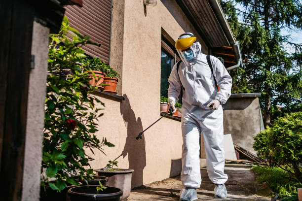Best Rat Extermination Near Me  in Minco, OK