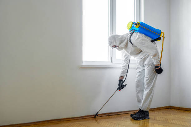Best Emergency Pest Control  in Minco, OK