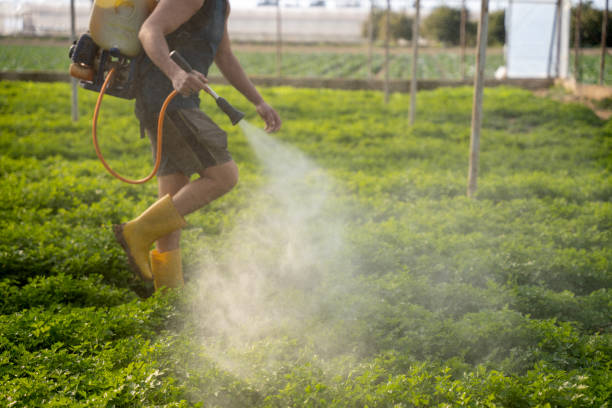 Best Mosquito Control Services  in Minco, OK