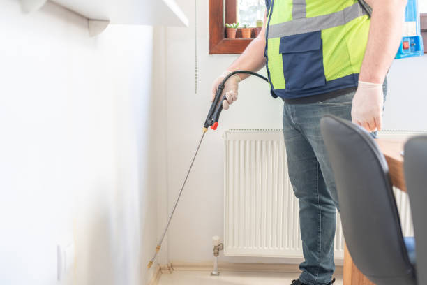 Best Wasp Removal Services  in Minco, OK