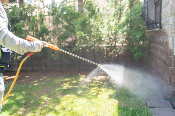 Best Termite Control Services  in Minco, OK