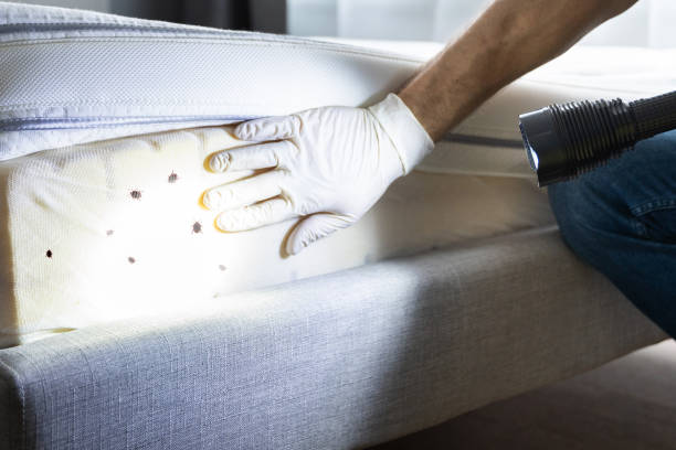 Best Commercial Pest Control Services  in Minco, OK