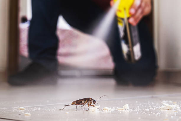 Best Best Pest Control Companies  in Minco, OK
