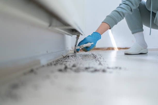 Best Cockroach Control Services  in Minco, OK